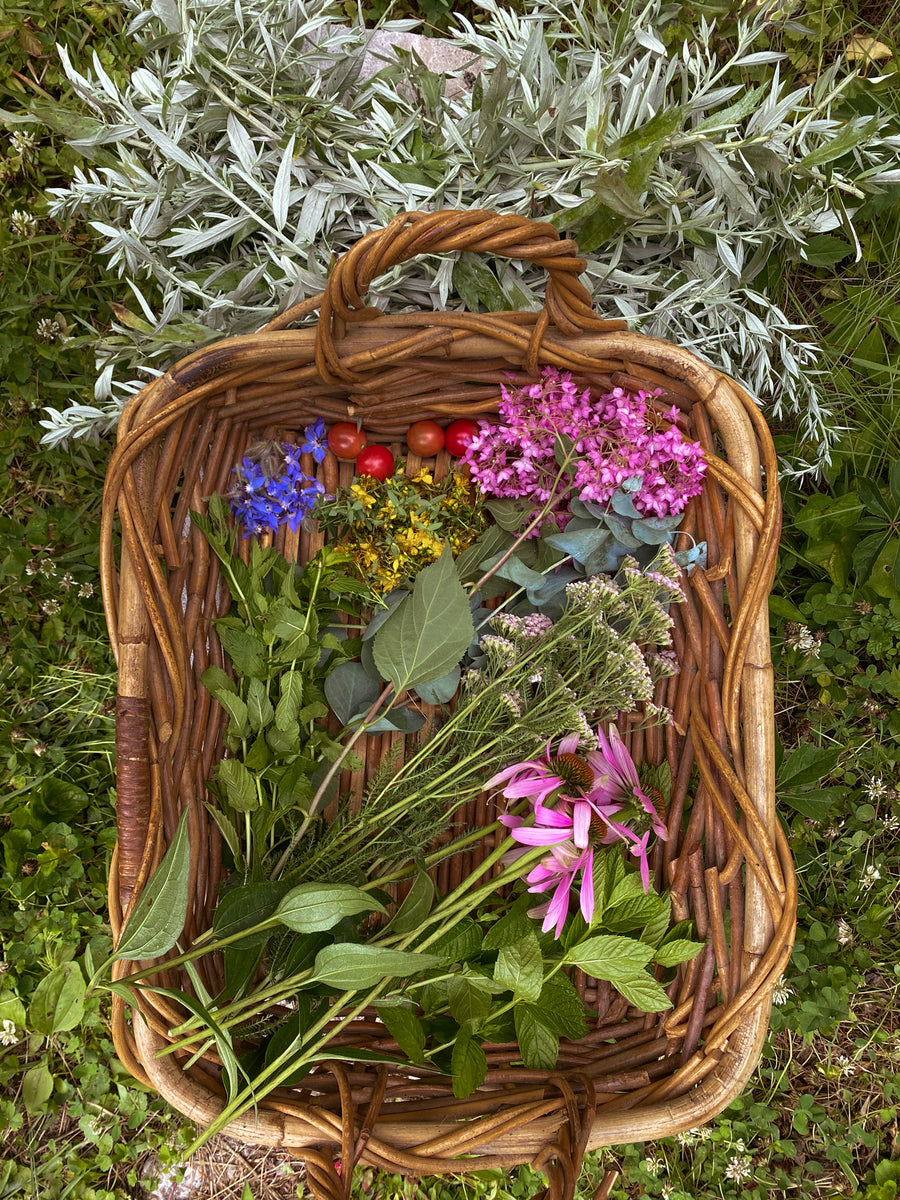 Lilac Flower Essence- uplifting and inspiring — Primrose apothecary