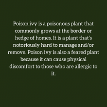 Load image into Gallery viewer, Poison Ivy Essence (Boundaries, Protection, &amp; Resiliency)
